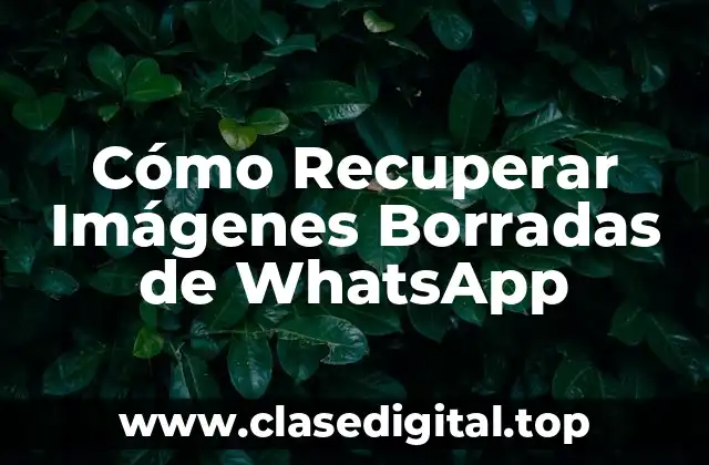 Cómo Recuperar Imágenes Borradas de WhatsApp