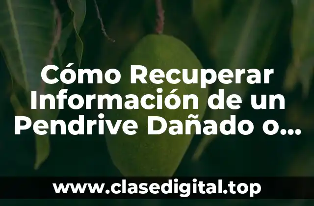 ¿Por qué se Pierden los Archivos en un Pendrive?