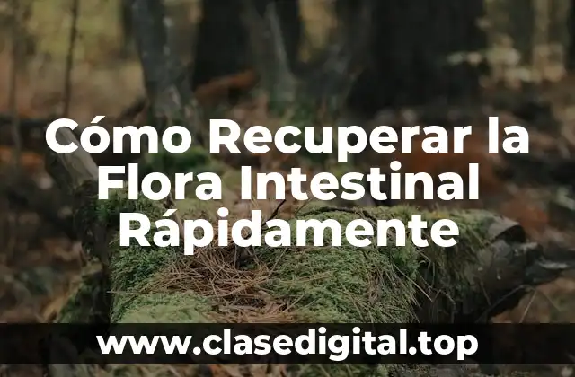 Cómo Recuperar la Flora Intestinal Rápidamente