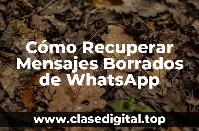 Cómo Recuperar Mensajes Borrados de WhatsApp