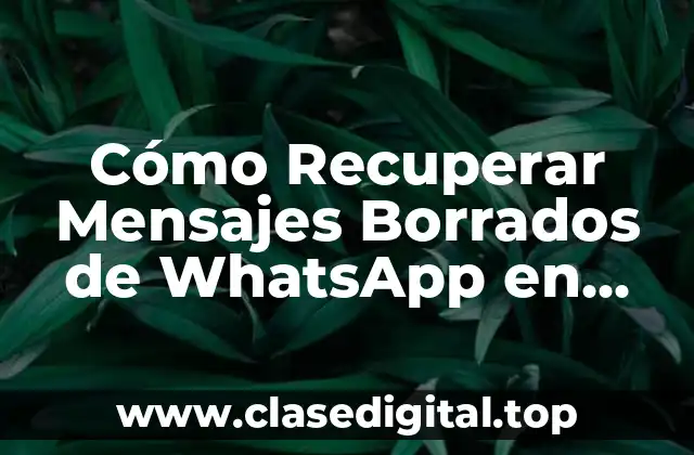 ¿Por qué los Mensajes de WhatsApp se Borran en iPhone?