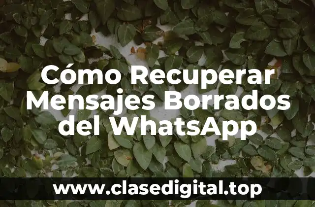 Cómo Recuperar Mensajes Borrados del WhatsApp
