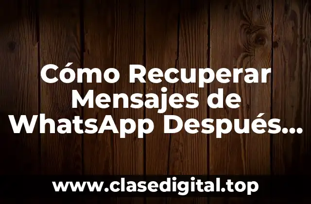 Cómo Recuperar Mensajes de WhatsApp Después de Vaciar el Chat