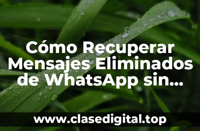 Cómo Recuperar Mensajes Eliminados de WhatsApp sin Copia de Seguridad