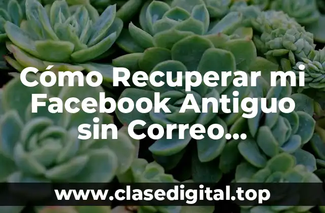 ¿Por qué es Importante Recuperar tu Cuenta de Facebook Antigua?