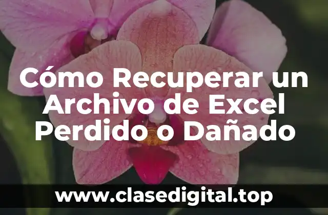 Cómo Recuperar un Archivo de Excel Perdido o Dañado