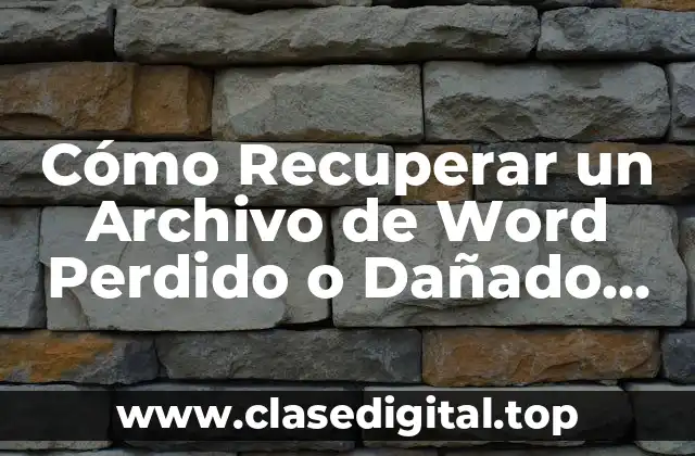 Cómo Recuperar un Archivo de Word Perdido o Dañado (2024)