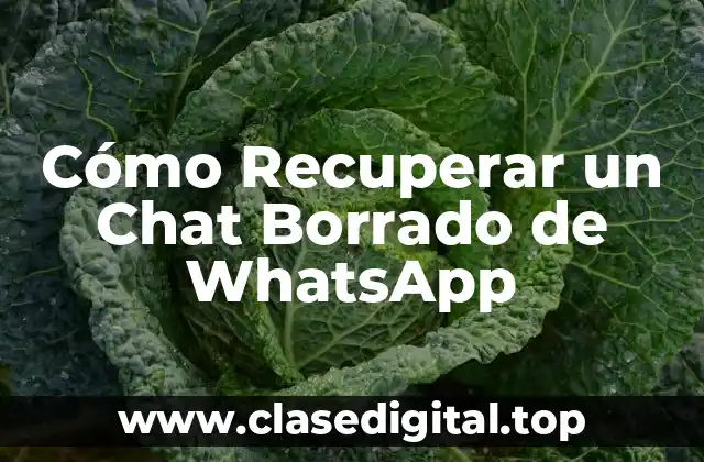 Cómo Recuperar un Chat Borrado de WhatsApp