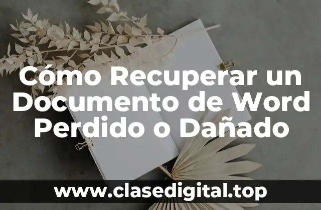 Cómo Recuperar un Documento de Word Perdido o Dañado