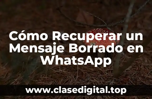 Cómo Recuperar un Mensaje Borrado en WhatsApp