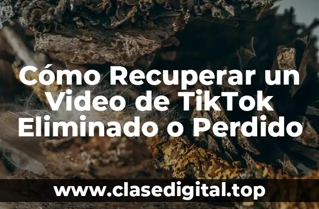 Cómo Recuperar un Video de TikTok Eliminado o Perdido