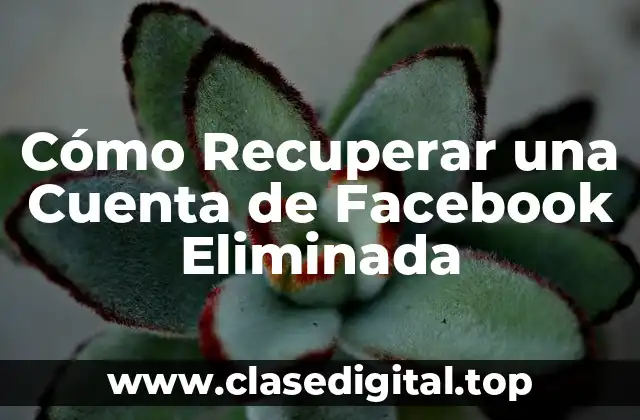 Cómo Recuperar una Cuenta de Facebook Eliminada