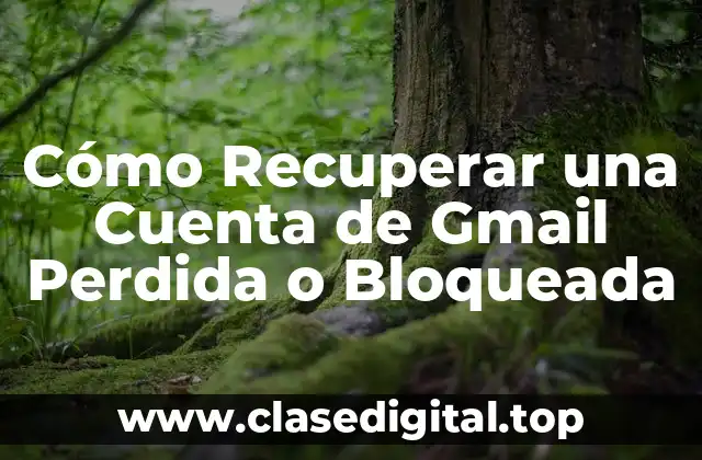 Cómo Recuperar una Cuenta de Gmail Perdida o Bloqueada