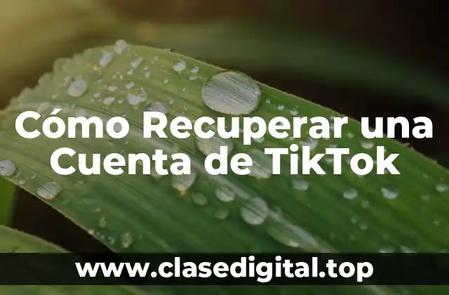 Cómo Recuperar una Cuenta de TikTok