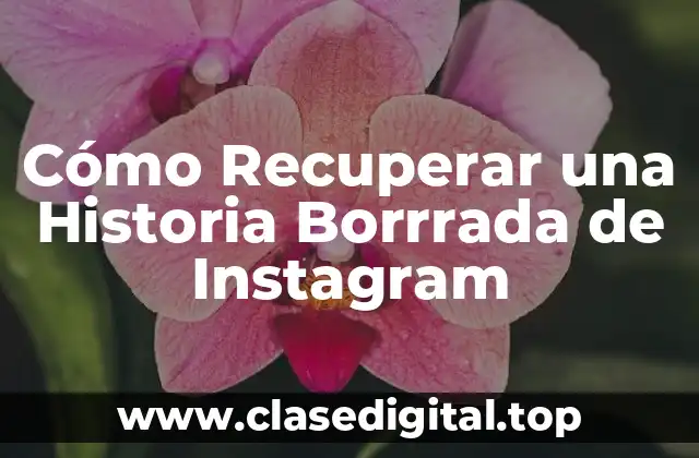 Cómo Recuperar una Historia Borrrada de Instagram