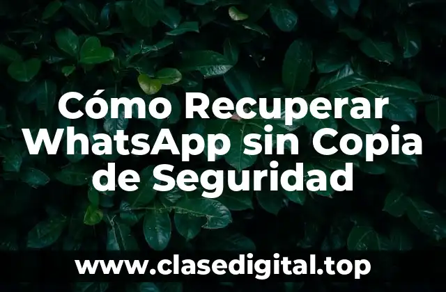 Cómo Recuperar WhatsApp sin Copia de Seguridad