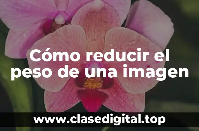 ¿Por qué es importante reducir el peso de una imagen?