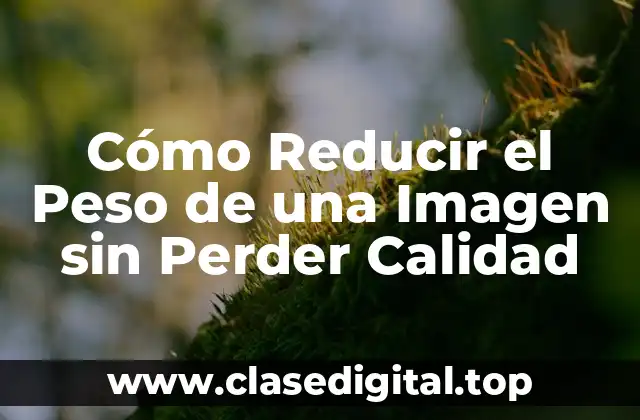 Cómo Reducir el Peso de una Imagen sin Perder Calidad