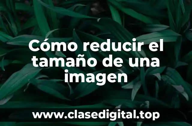 Cómo reducir el tamaño de una imagen