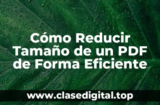 Cómo Reducir Tamaño de un PDF de Forma Eficiente