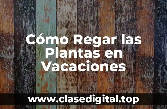 ¿Por qué es Importante Regar las Plantas en Vacaciones?