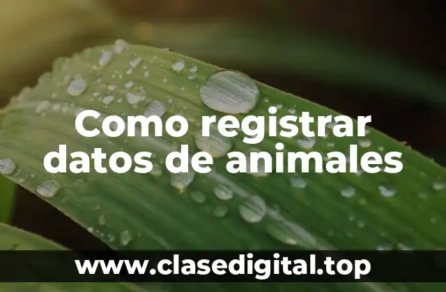 Como registrar datos de animales