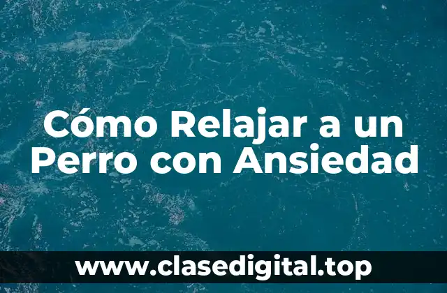 Cómo Relajar a un Perro con Ansiedad