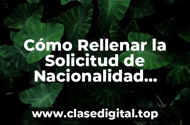 Cómo Rellenar la Solicitud de Nacionalidad Española por Residencia