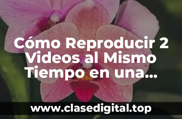 Cómo Reproducir 2 Videos al Mismo Tiempo en una Pantalla
