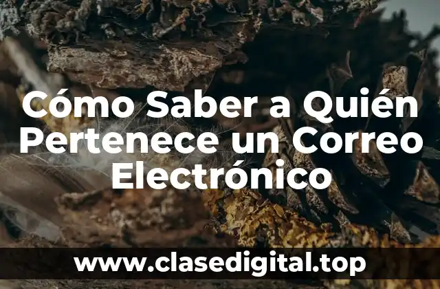 Cómo Saber a Quién Pertenece un Correo Electrónico
