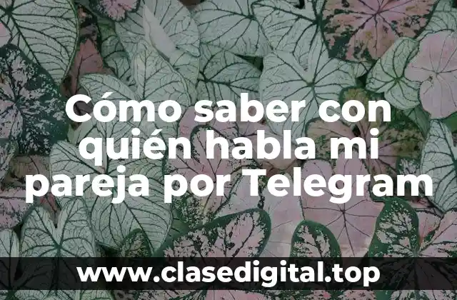 Cómo saber con quién habla mi pareja por Telegram