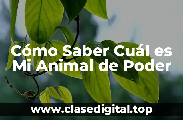 Cómo Saber Cuál es Mi Animal de Poder