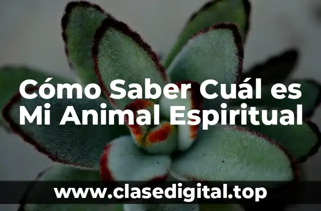 Cómo Saber Cuál es Mi Animal Espiritual