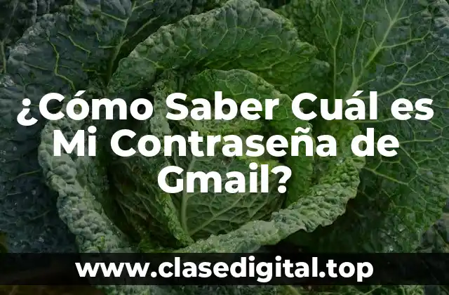 ¿Por Qué Es Importante Recordar Tu Contraseña de Gmail?