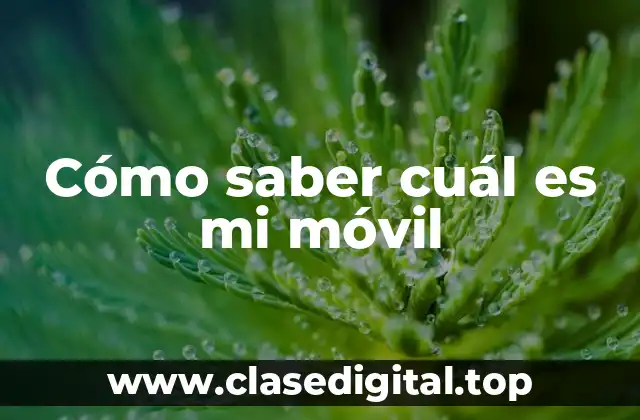 Cómo saber cuál es mi móvil