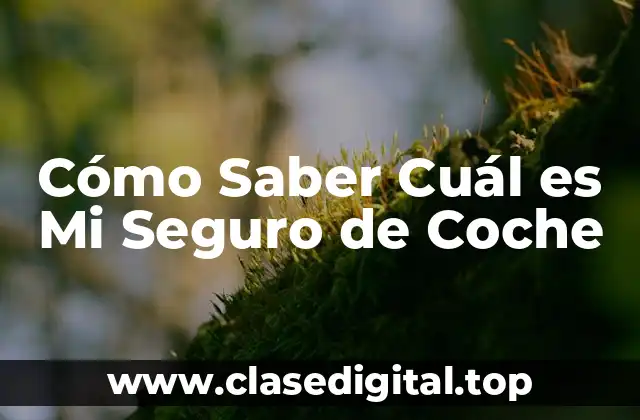 Cómo Saber Cuál es Mi Seguro de Coche