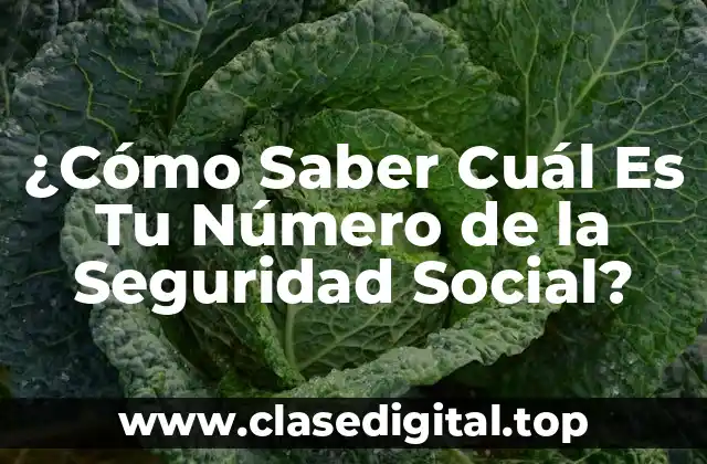 ¿Qué es el Número de la Seguridad Social y Para Qué Sirve?