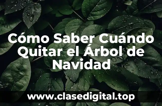 Cómo Saber Cuándo Quitar el Árbol de Navidad