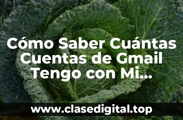 Cómo Saber Cuántas Cuentas de Gmail Tengo con Mi Número de Teléfono
