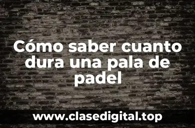 Cómo saber cuanto dura una pala de padel