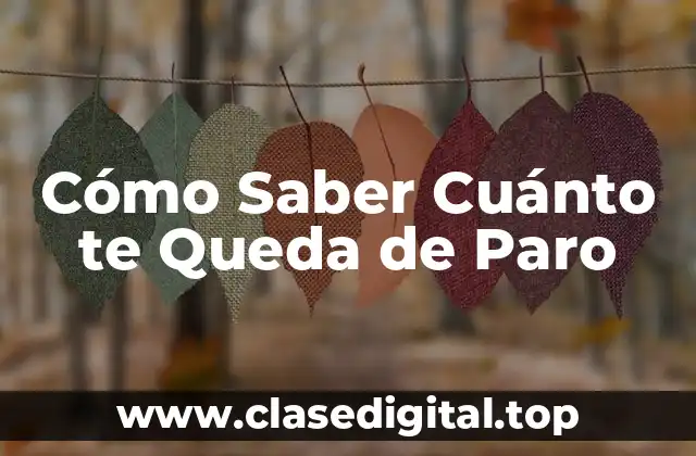 Cómo Saber Cuánto te Queda de Paro