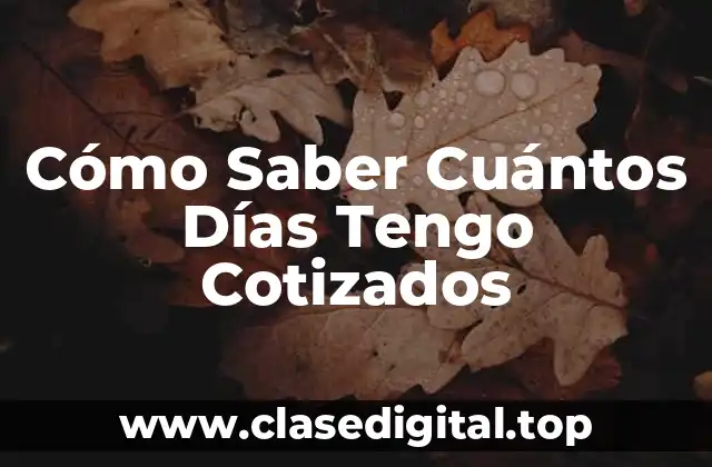 Cómo Saber Cuántos Días Tengo Cotizados