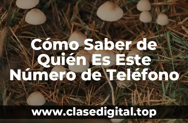 Cómo Saber de Quién Es Este Número de Teléfono
