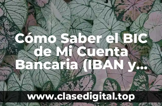 Cómo Saber el BIC de Mi Cuenta Bancaria (IBAN y SWIFT)