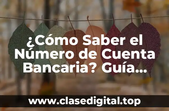 ¿Cómo Saber el Número de Cuenta Bancaria? Guía Completa para Identificar y Proteger su Información Financiera