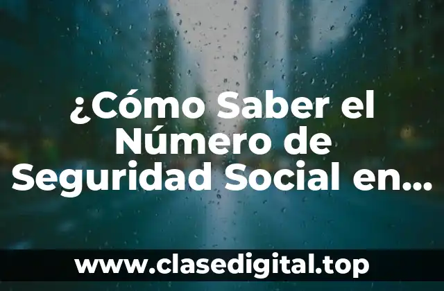 ¿Cómo Saber el Número de Seguridad Social en Estados Unidos?