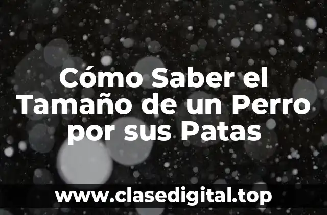 Cómo Saber el Tamaño de un Perro por sus Patas