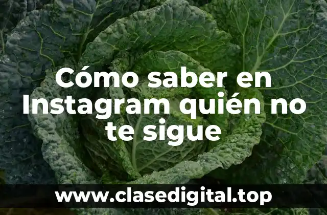 ¿Por qué es importante saber quién no te sigue en Instagram?