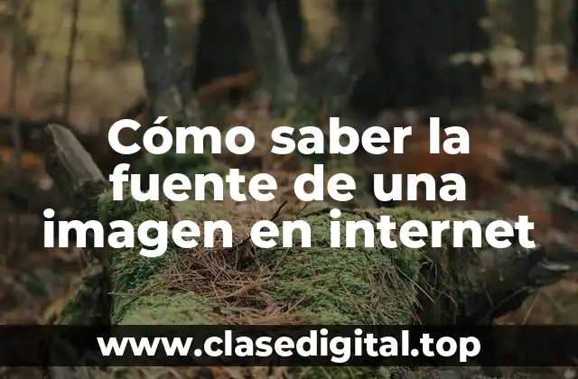 Cómo saber la fuente de una imagen en internet