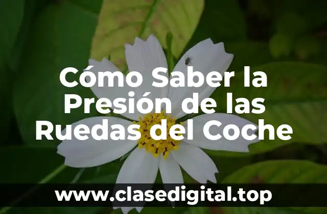 ¿Por qué es Importante la Presión de las Ruedas del Coche?